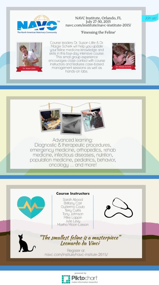 NAVC Institute Infographic