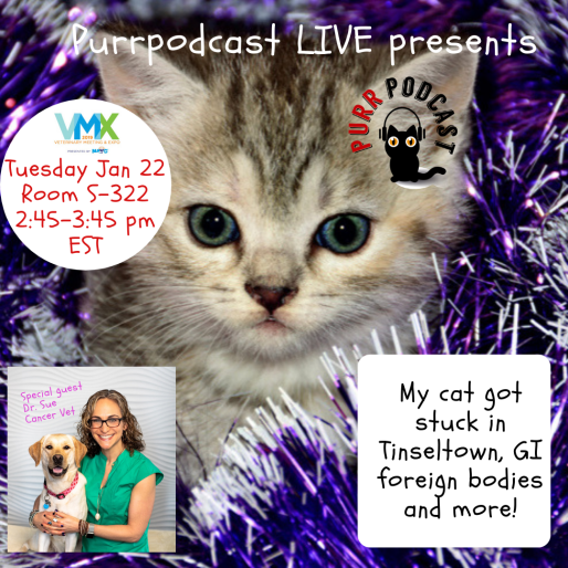 purrpodcast vmx promo